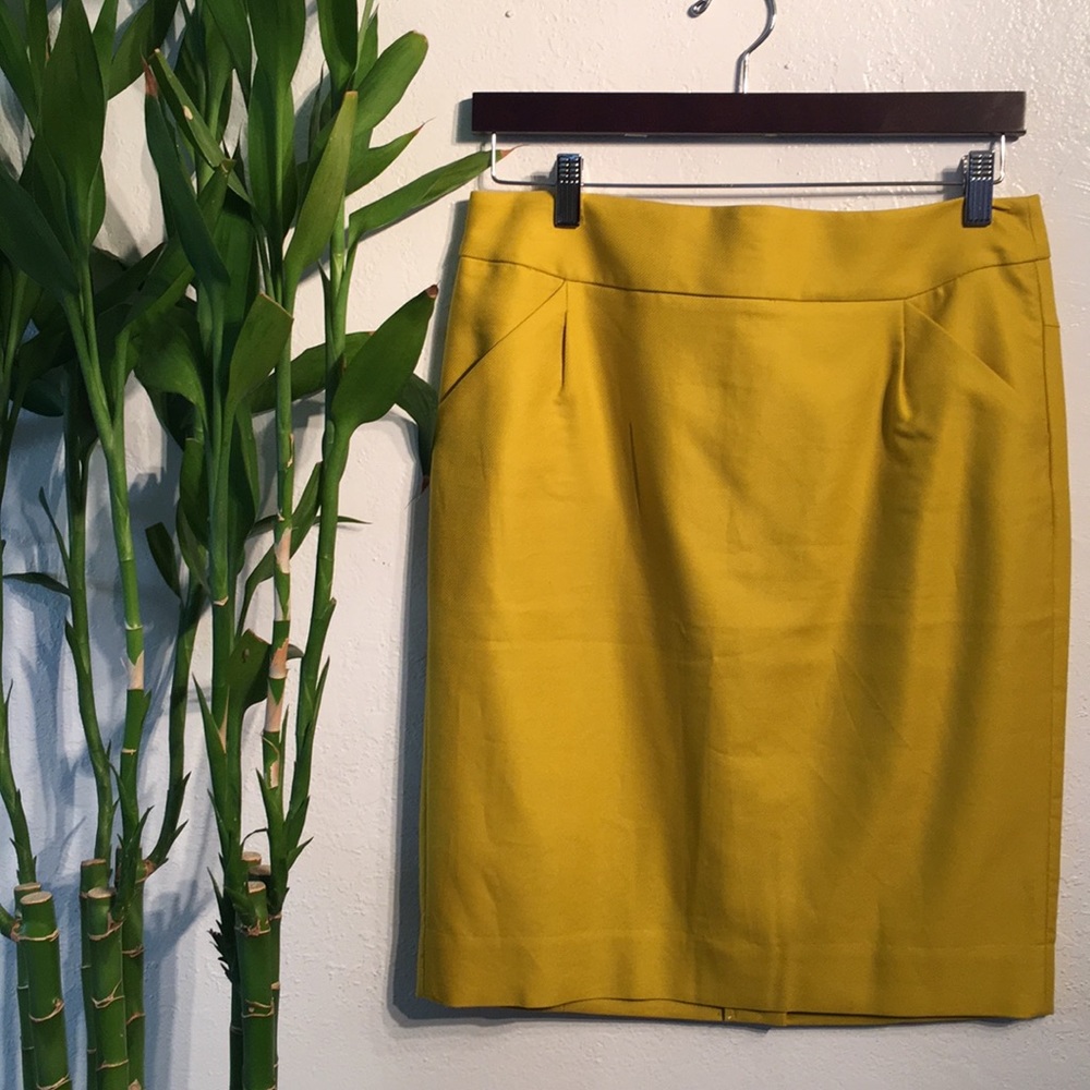 J. Crew Skirt